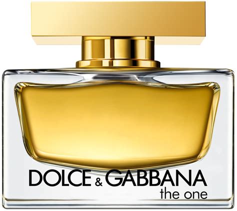 idealo dolce gabbana the one|the one dolce gabbana femme.